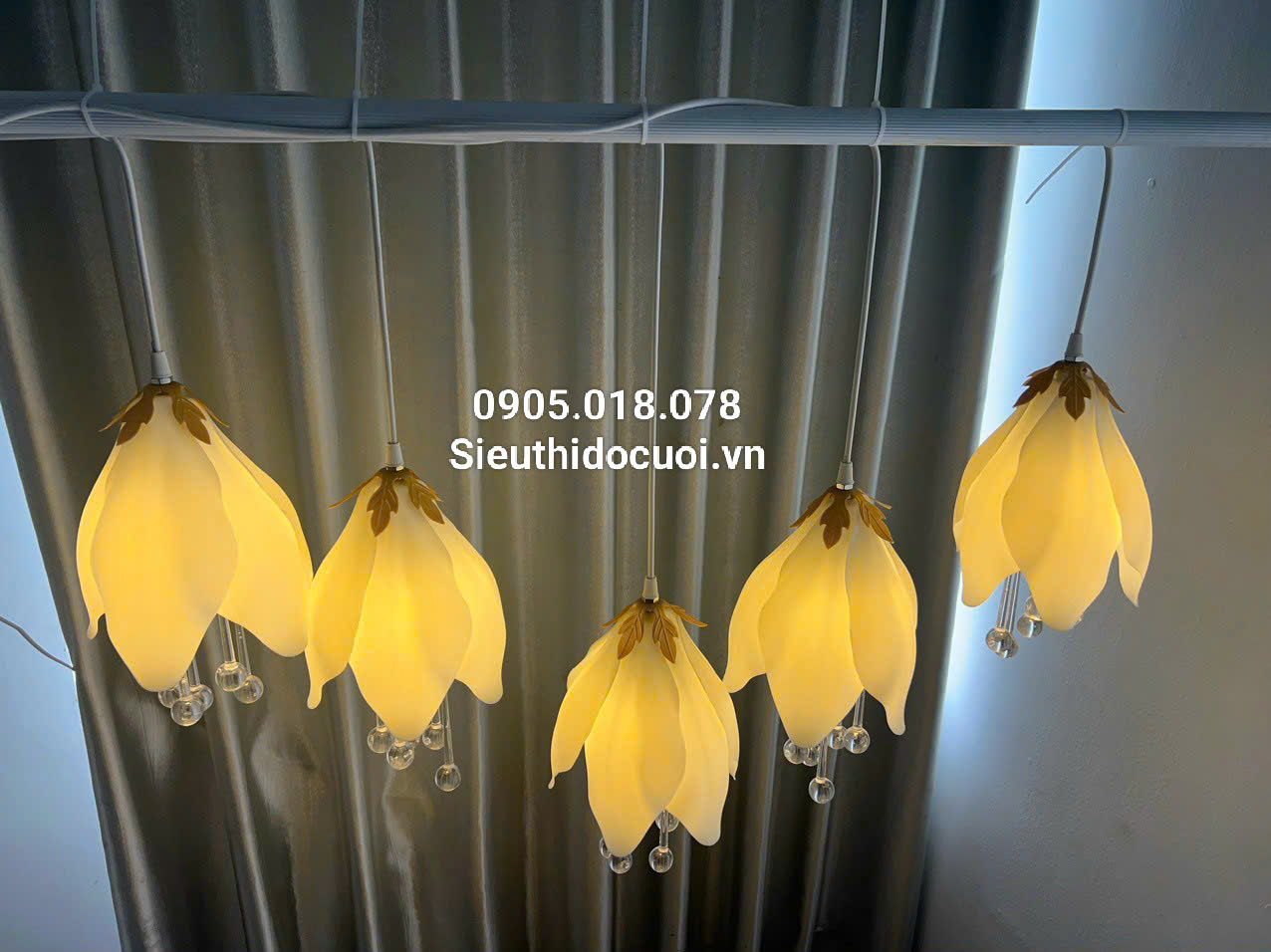 Mua đèn led đám cưới thả hoa mộc lan 