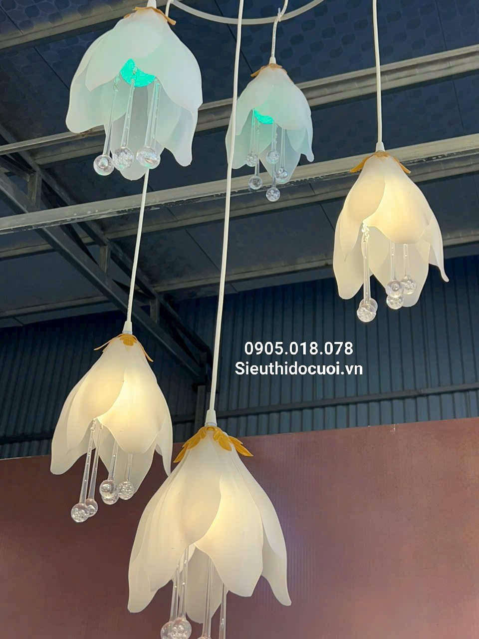 Mua đèn led đám cưới thả hoa mộc lan 