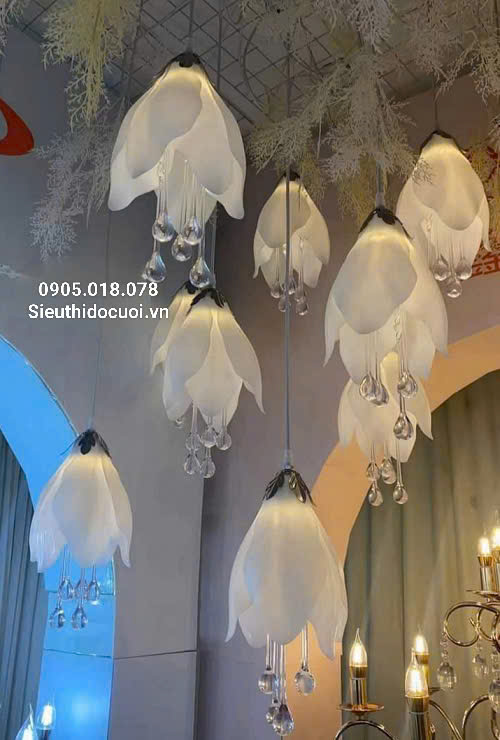 Mua đèn led đám cưới thả hoa mộc lan 