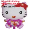 Bóng Kitty Thường